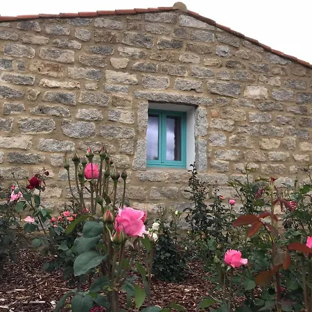 B&B Li Tauli-2
